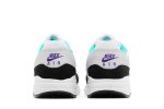 (Youth) Nike Air Max 1 Tropical Twist DZ3307-114 WABT